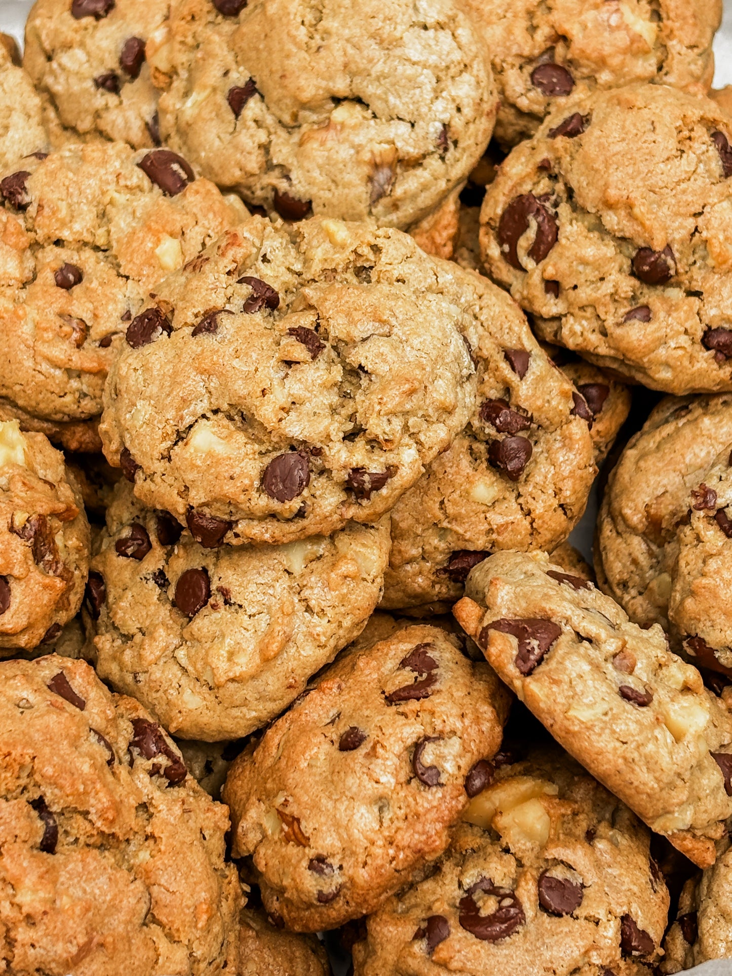 12 Packs of 3 Mini Chocolate-Chip Walnut Cookies