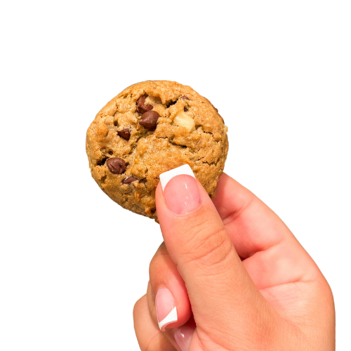 12 Packs of 3 Mini Chocolate-Chip Walnut Cookies